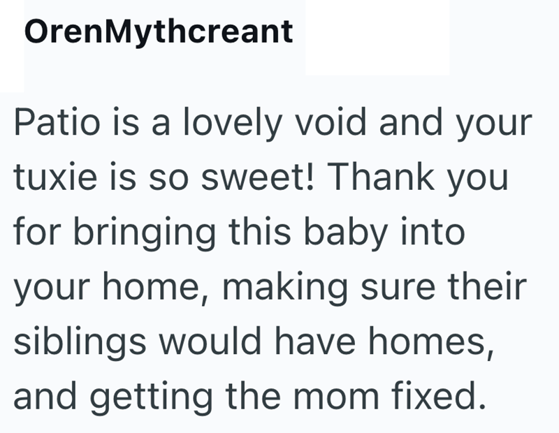 OrenMythcreant Patio is a lovely void and your tuxie is so sweet! Thank you for bringing this baby into your home, making sure their siblings would have homes, and getting the mom fixed.