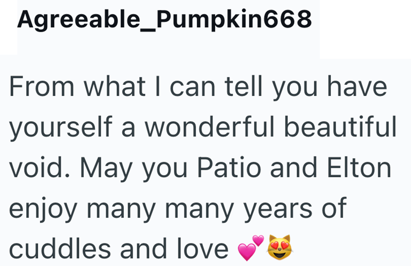 Agreeable_Pumpkin668 From what I can tell you have yourself a wonderful beautiful void. May you Patio and Elton enjoy many many years of cuddles and love
