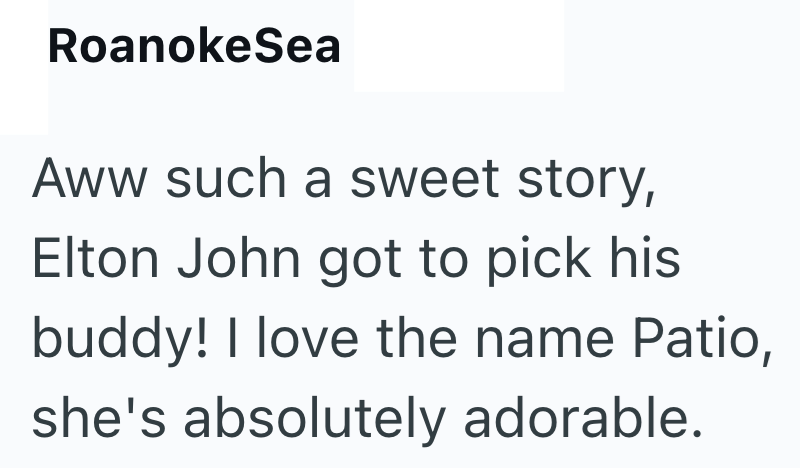 RoanokeSea Aww such a sweet story, Elton John got to pick his buddy! I love the name Patio, she's absolutely adorable.