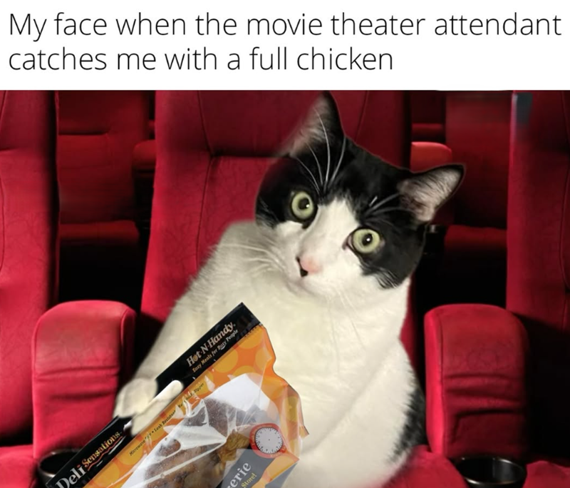 My face when the movie theater attendant catches me with a full chicken Deli Sensations Microwave Leak Resista Hot N Handy. Easy Meals for Busy People อเนอะ Store!