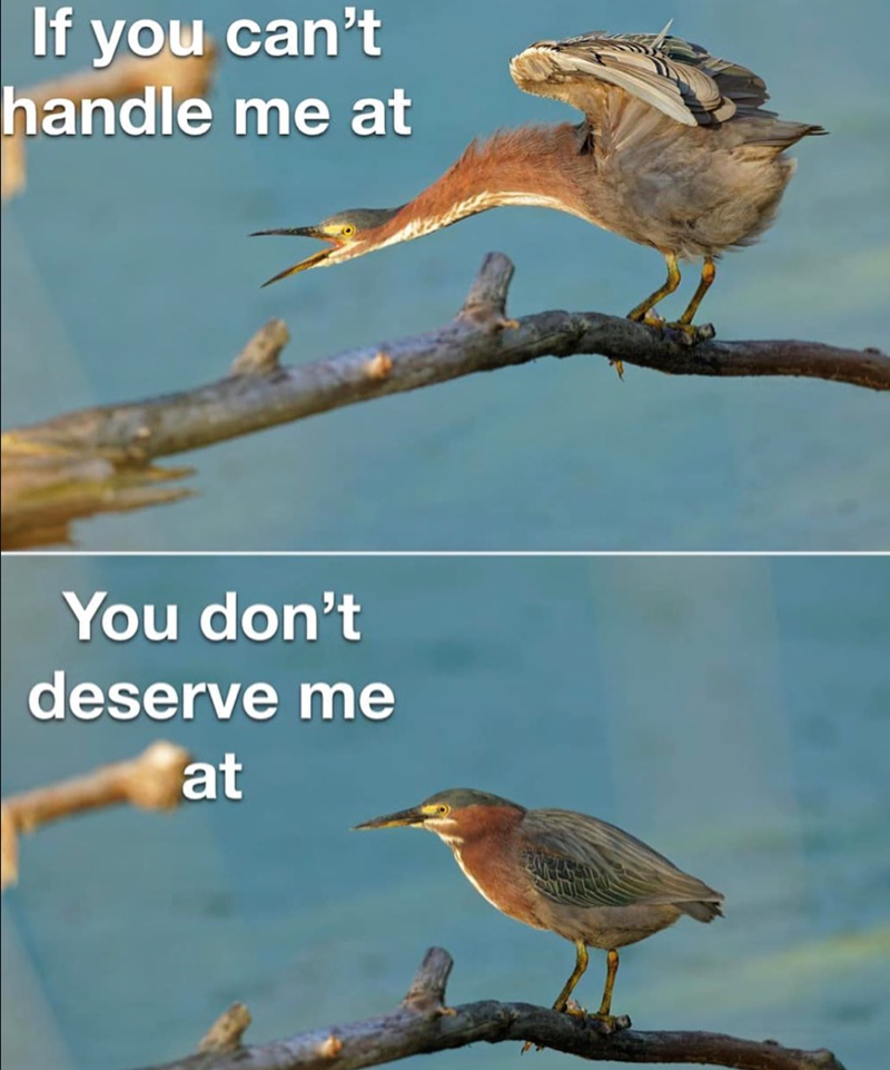 If you can't handle me at You don't deserve me at