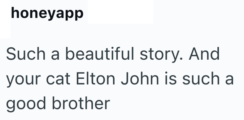 honeyapp Such a beautiful story. And your cat Elton John is such a good brother