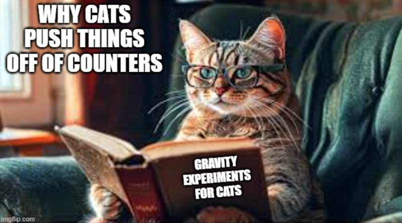WHY CATS PUSH THINGS OFF OF COUNTERS imgflip.com GRAVITY EXPERIMENTS FOR CATS