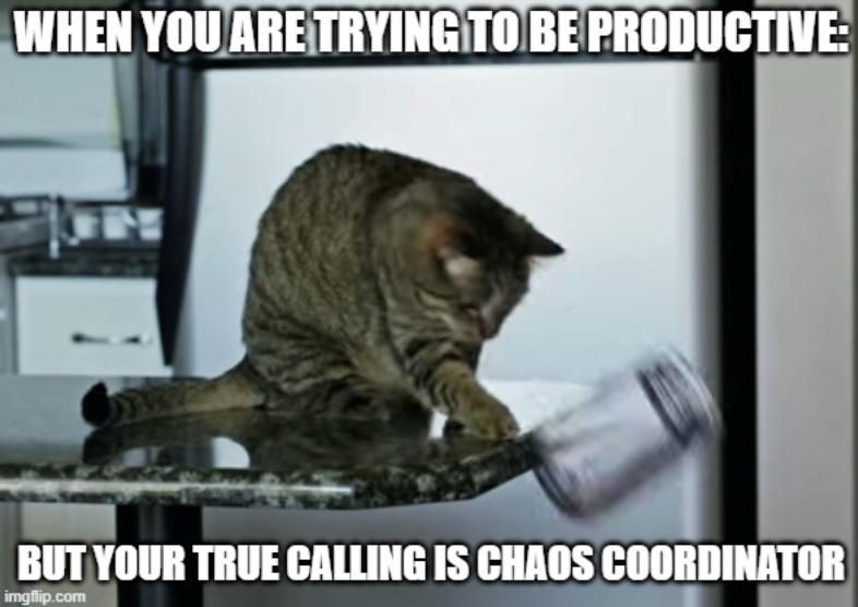 WHEN YOU ARE TRYING TO BE PRODUCTIVE: BUT YOUR TRUE CALLING IS CHAOS COORDINATOR imgflip.com