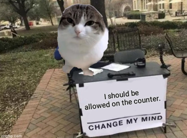 imgflip.com I should be allowed on the counter. CHANGE MY MIND