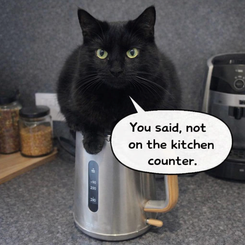 <-80 290 You said, not on the kitchen counter. O