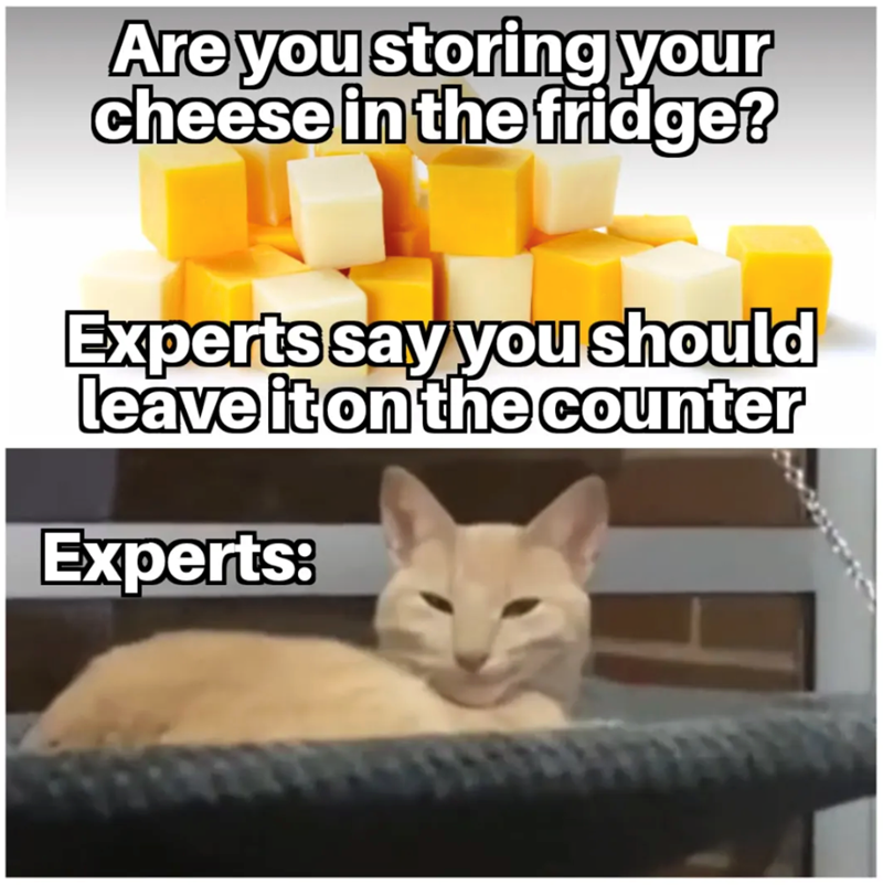 Are you storing your cheese in the fridge? Experts say you should leave it on the counter Experts: