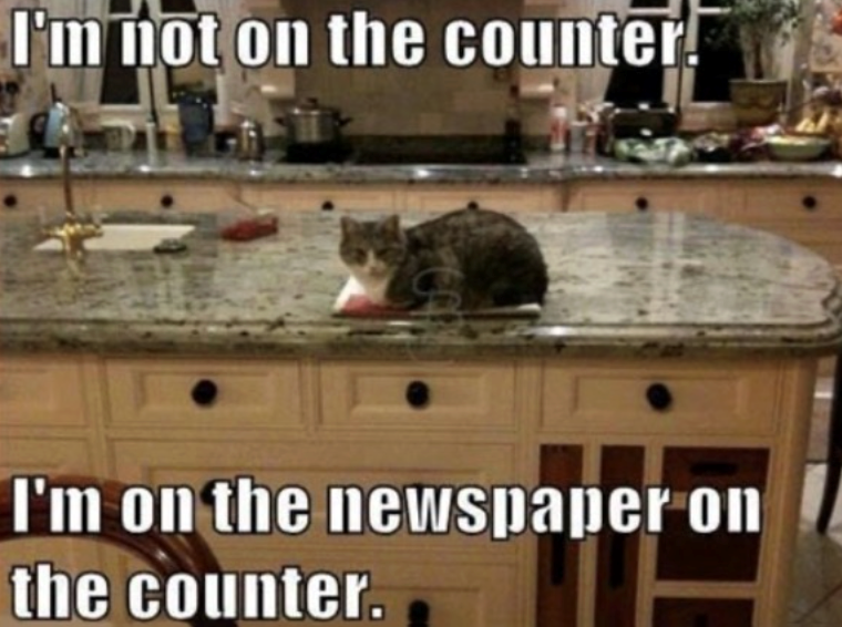 I'm not on the counter I'm on the newspaper on the counter.