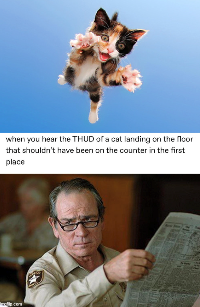 when you hear the THUD of a cat landing on the floor that shouldn't have been on the counter in the first place imgflip.com