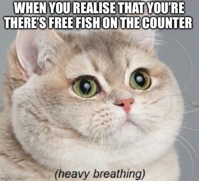 WHEN YOU REALISE THAT YOU'RE THERE'S FREE FISH ON THE COUNTER imgflip.com (heavy breathing)