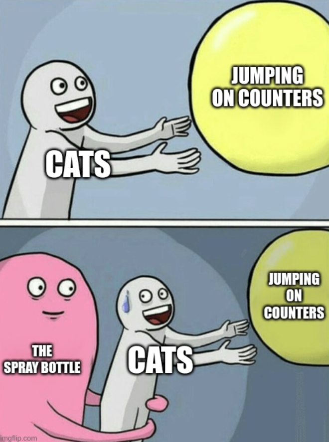 CATS JUMPING ON COUNTERS THE SPRAY BOTTLE CATS JUMPING ON COUNTERS imgflip.com