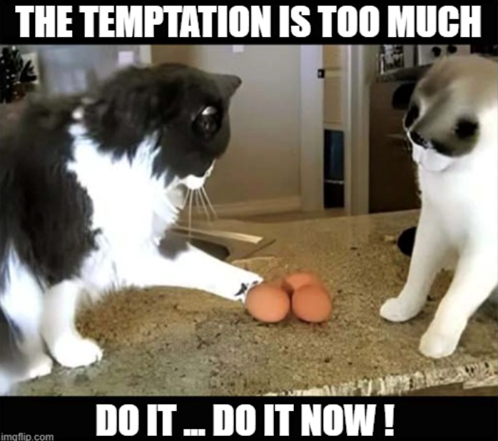 THE TEMPTATION IS TOO MUCH imgflip.com DO IT ... DO IT NOW!