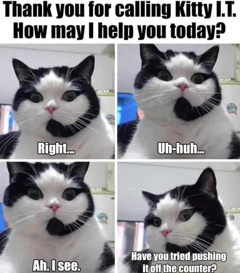 Thank you for calling Kitty I.T. How may I help you today? Right... Uh-huh... Have you tried pushing Ah. I see. it off the counter?