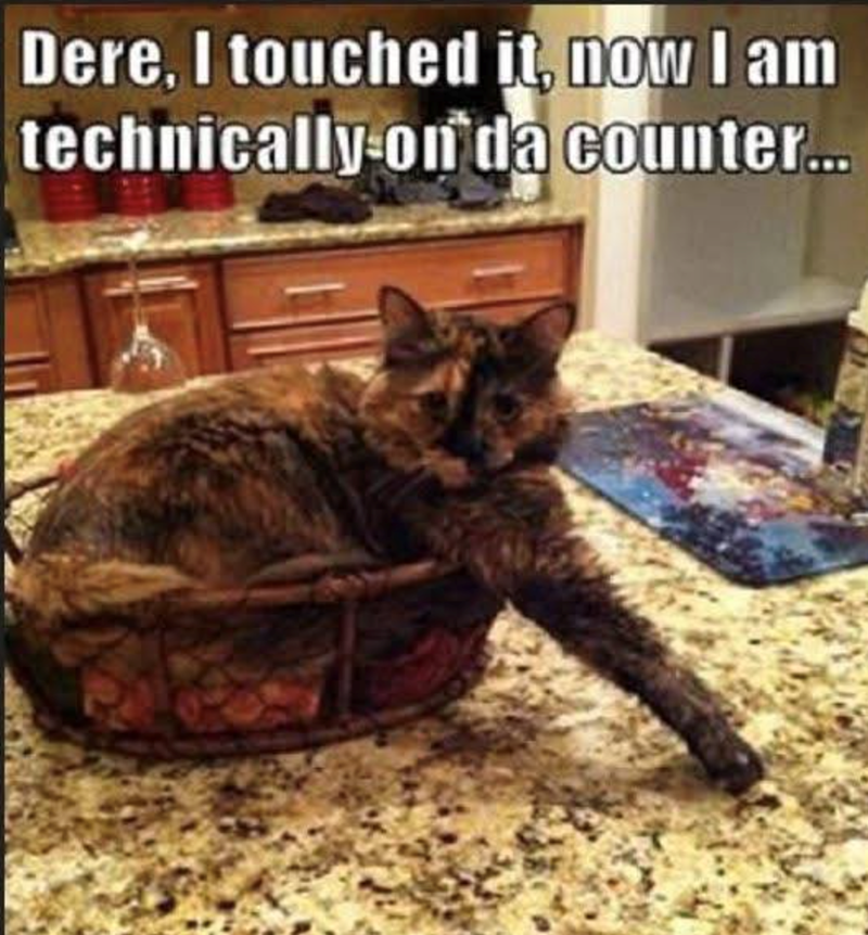 Dere, I touched it, mow I am technically on da counter...