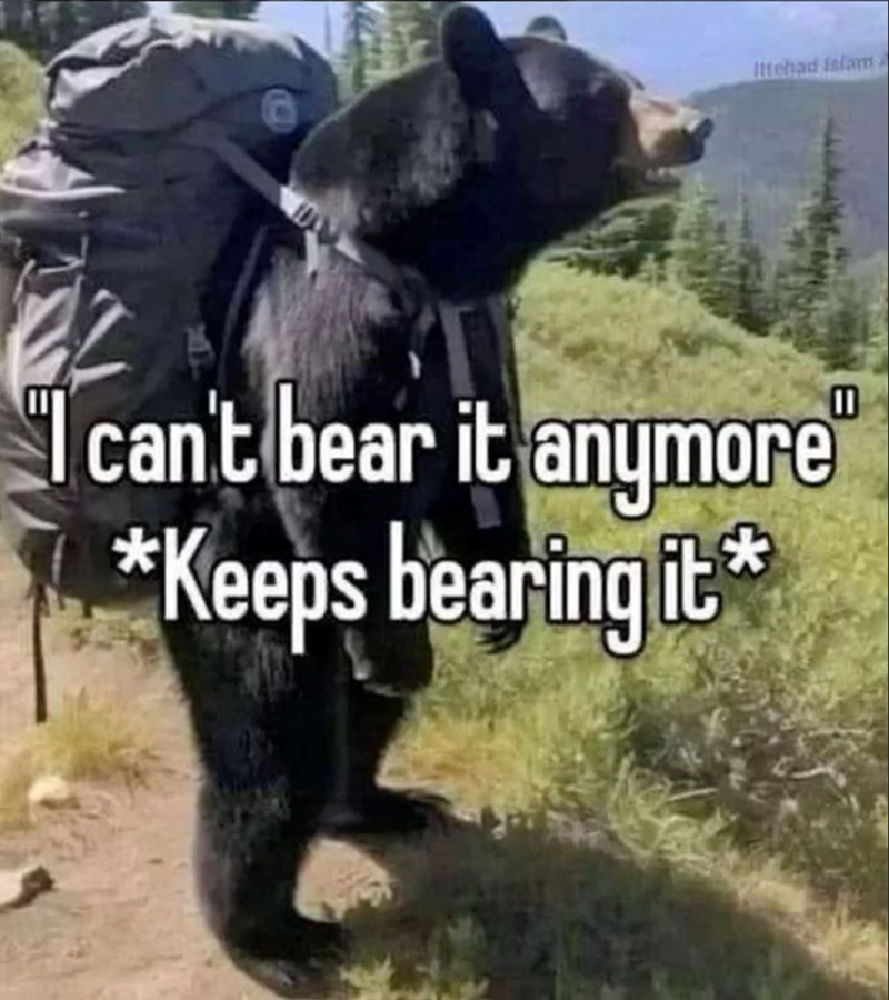 Ittehad Islam can't bear it anymore *Keeps bearing it* ①