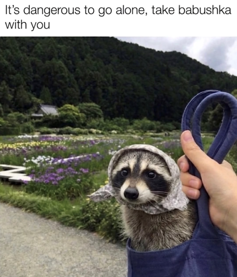It's dangerous to go alone, take babushka with you