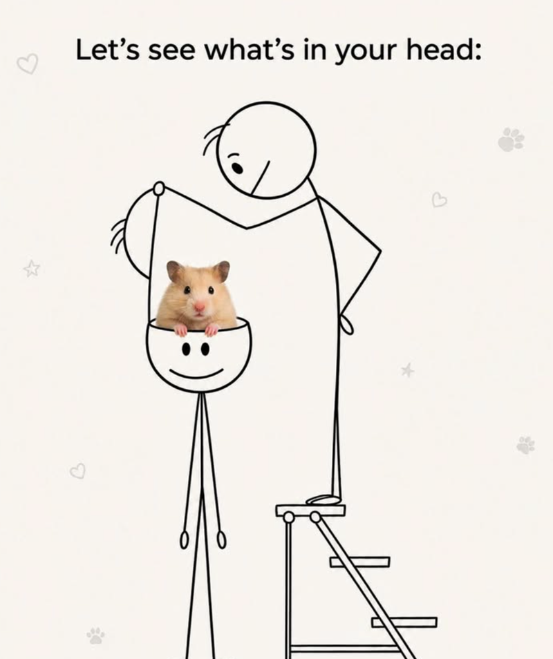 Let's see what's in your head: 4