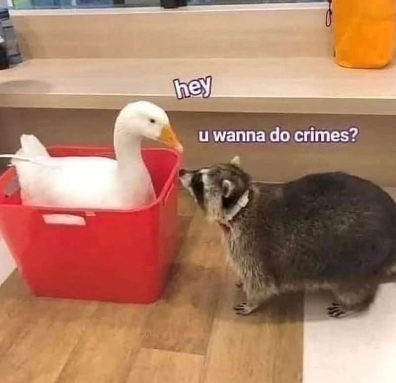 hey u wanna do crimes?
