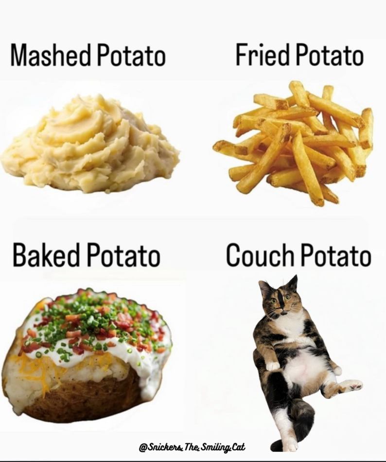 Mashed Potato Fried Potato Baked Potato Couch Potato @Snickers. The Smiling. Cat