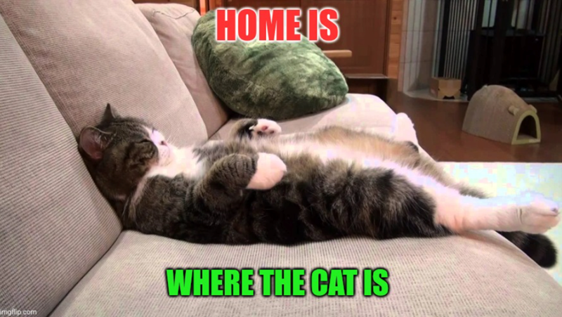 imgflip.com HOME IS WHERE THE CAT IS