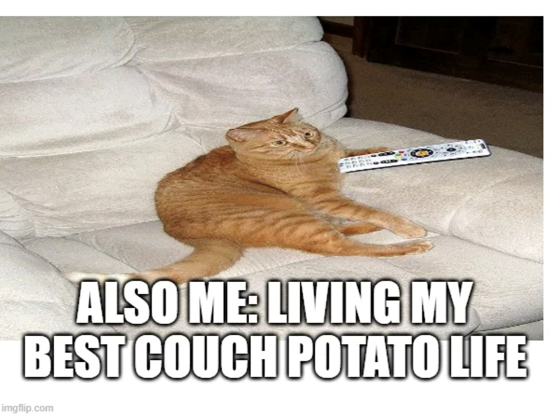 ALSO ME: LIVING MY BEST COUCH POTATO LIFE imgflip.com