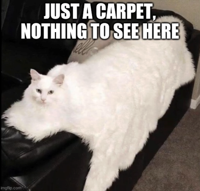 imgflip.com JUST A CARPET, NOTHING TO SEE HERE