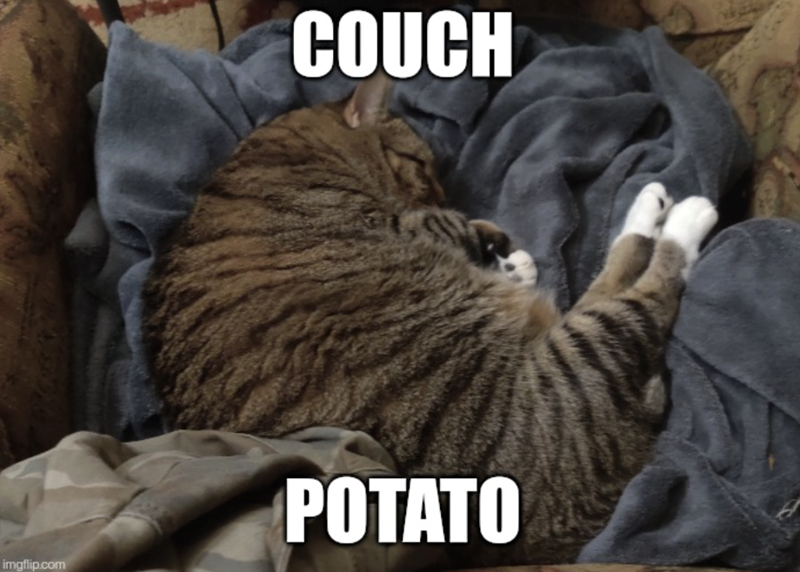 imgflip.com COUCH POTATO