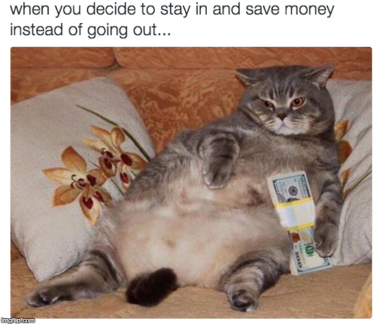 imgflip.com when you decide to stay in and save money instead of going out... DL
