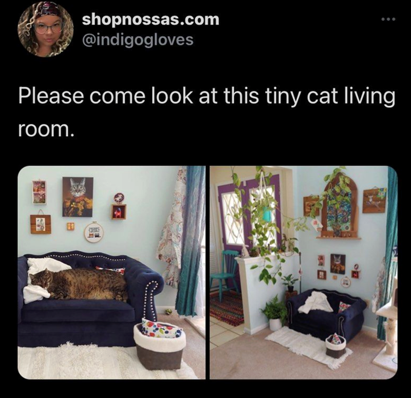 shopnossas.com @indigogloves Please come look at this tiny cat living room. 田 O0