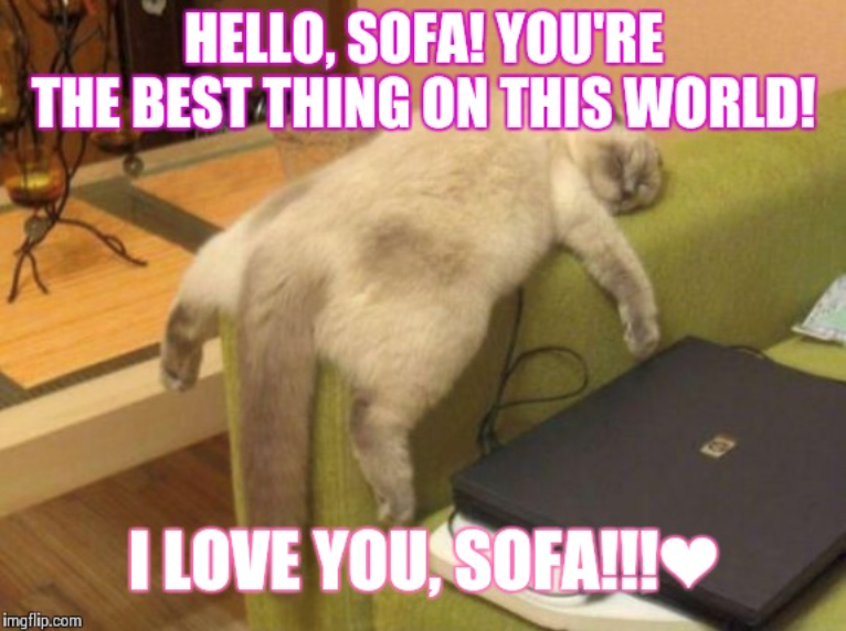 HELLO, SOFA! YOU'RE THE BEST THING ON THIS WORLD! imgflip.com I LOVE YOU, SOFA!!!❤