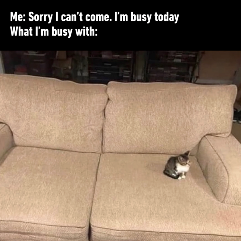 Me: Sorry I can't come. I'm busy today What I'm busy with: