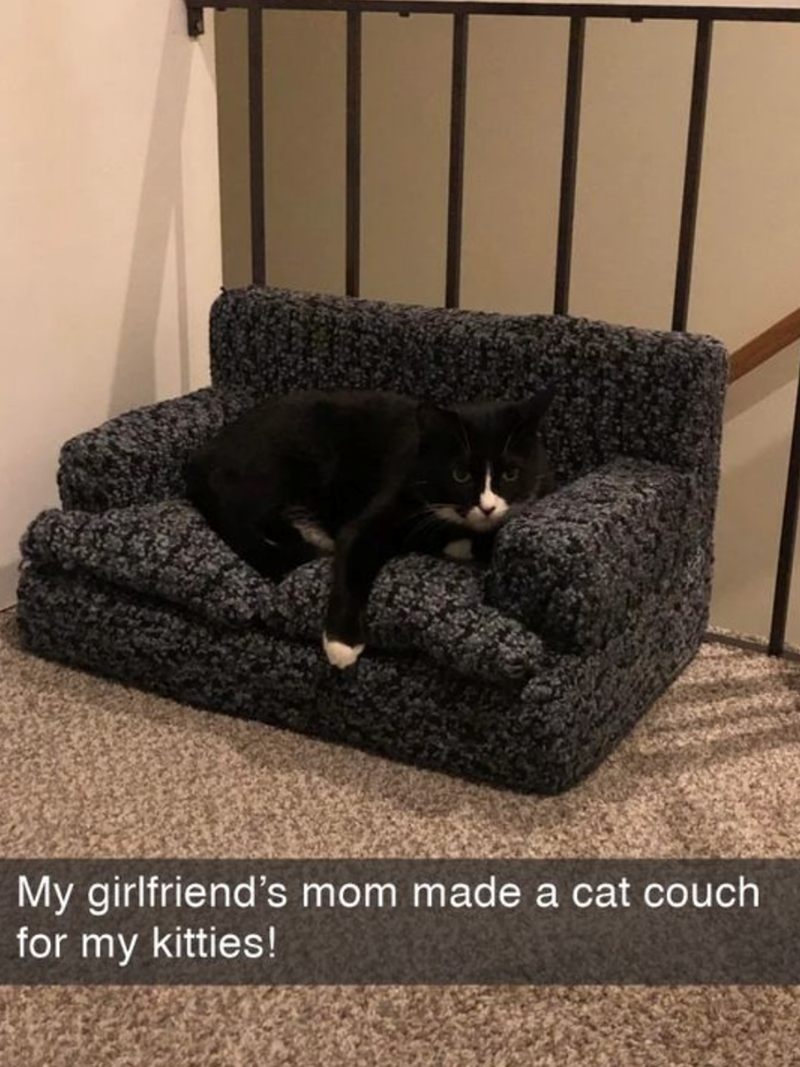 My girlfriend's mom made a cat couch for my kitties!