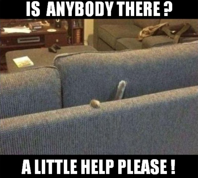 IS ANYBODY THERE? A LITTLE HELP PLEASE!