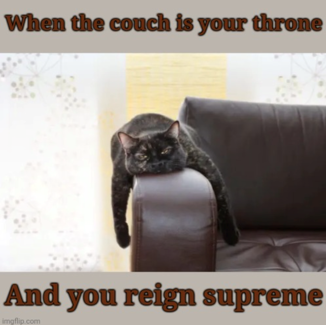 When the couch is your throne And you reign supreme imgflip.com