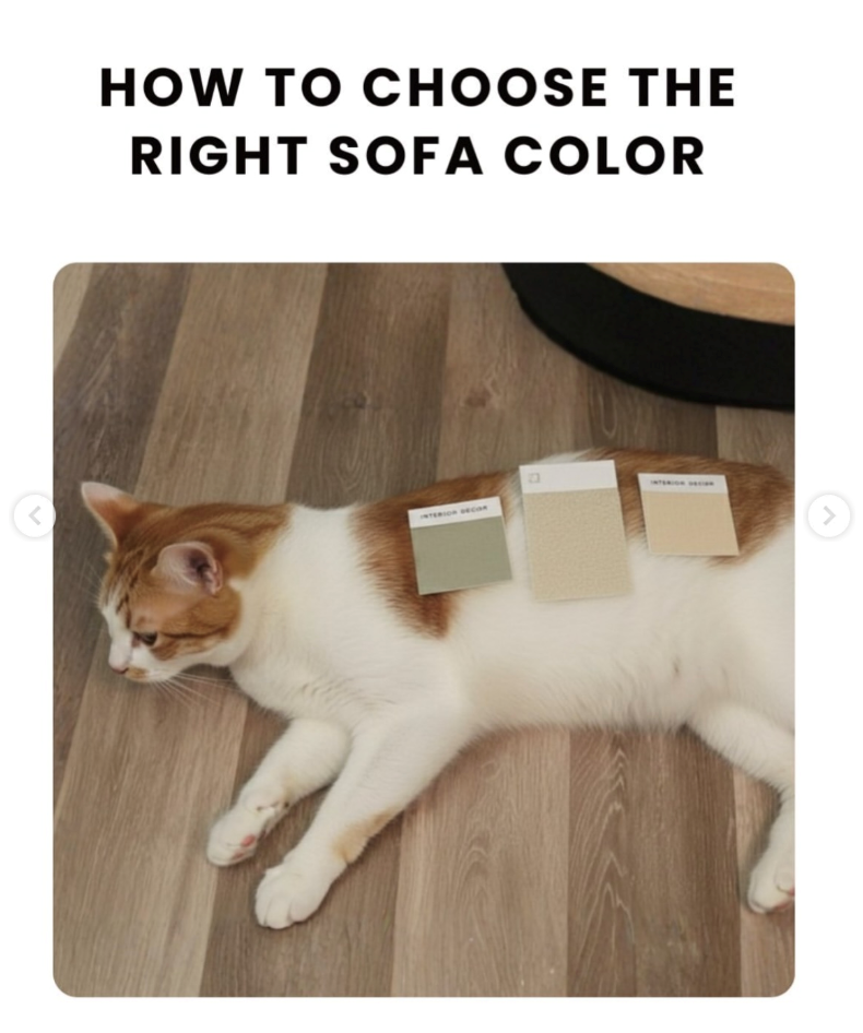 HOW TO CHOOSE THE RIGHT SOFA COLOR < INTERIOR DECOR >