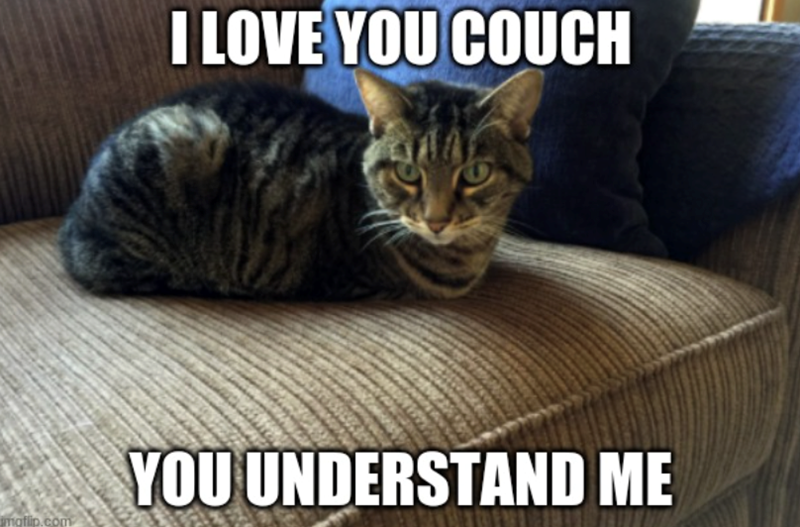 I LOVE YOU COUCH YOU UNDERSTAND ME imgflip.com