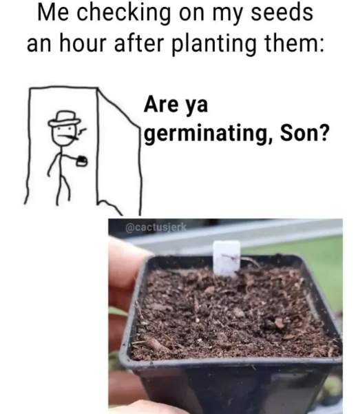 Me checking on my seeds an hour after planting them: Are ya germinating, Son? @cactusjerk