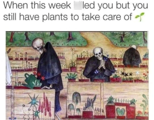 When this week led you but you still have plants to take care of