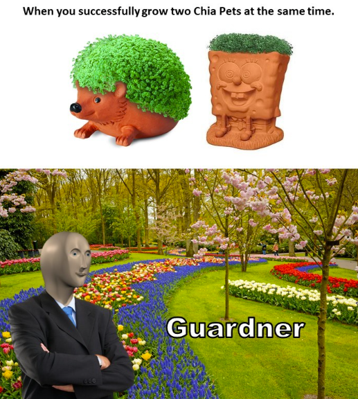 When you successfully grow two Chia Pets at the same time. 800 Guardner