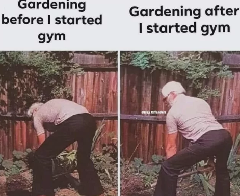 Gardening before I started gym Gardening after I started gym eflex Offenders