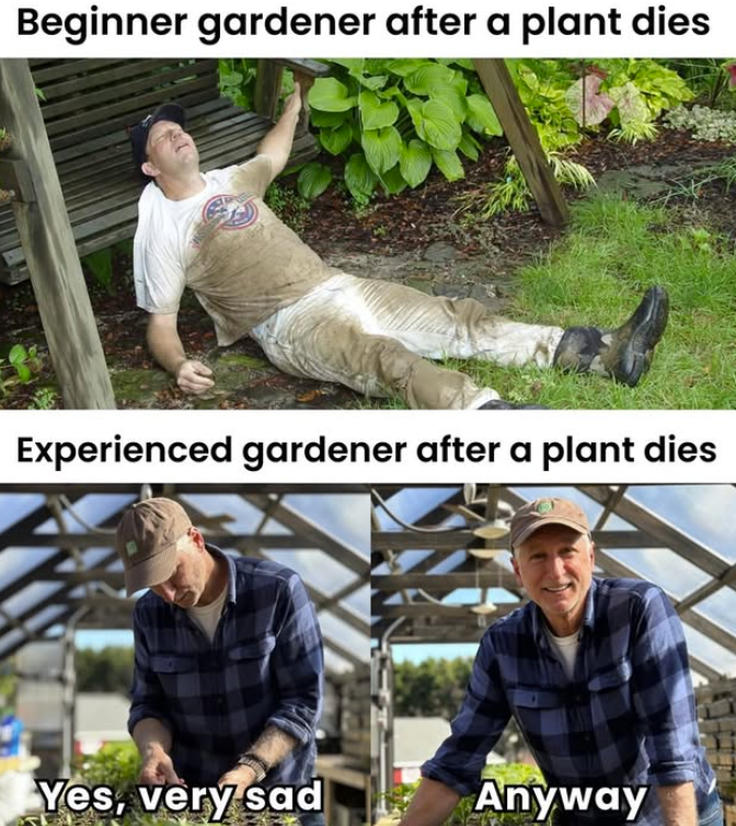 Beginner gardener after a plant dies Experienced gardener after a plant dies Yes, very sad Anyway