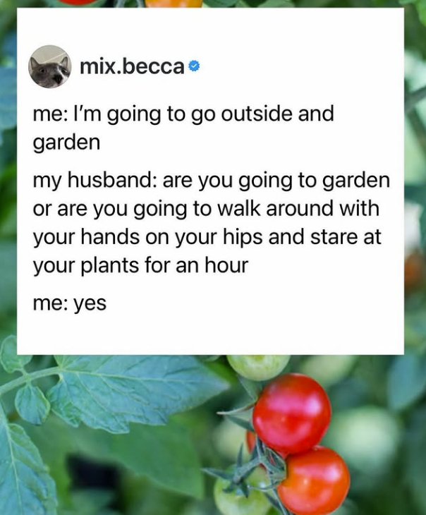 mix.becca⭑ me: I'm going to go outside and garden my husband: are you going to garden or are you going to walk around with your hands on your hips and stare at your plants for an hour me: yes