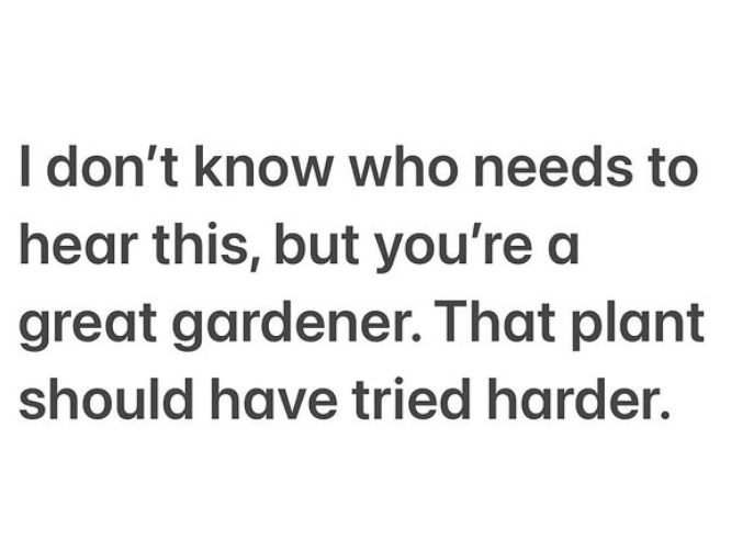 I don't know who needs to hear this, but you're a great gardener. That plant should have tried harder.