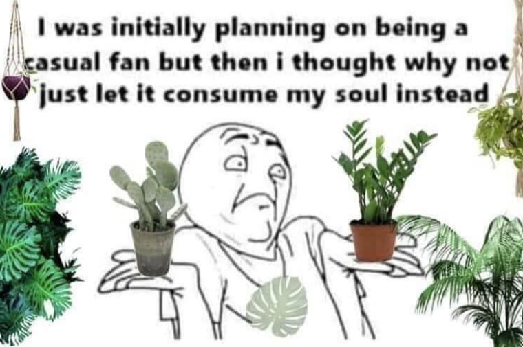I was initially planning on being a casual fan but then i thought why not just let it consume my soul instead