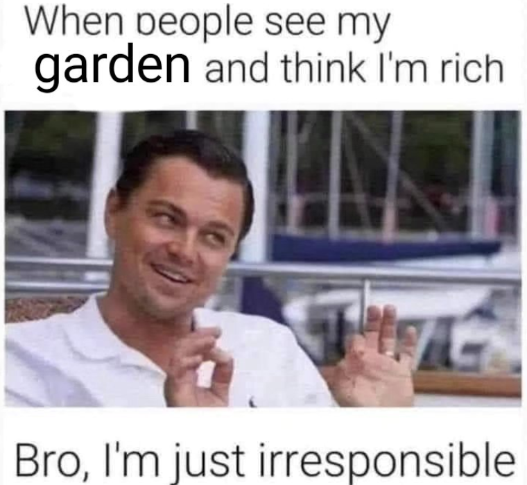 When people see my garden and think I'm rich THE Bro, I'm just irresponsible