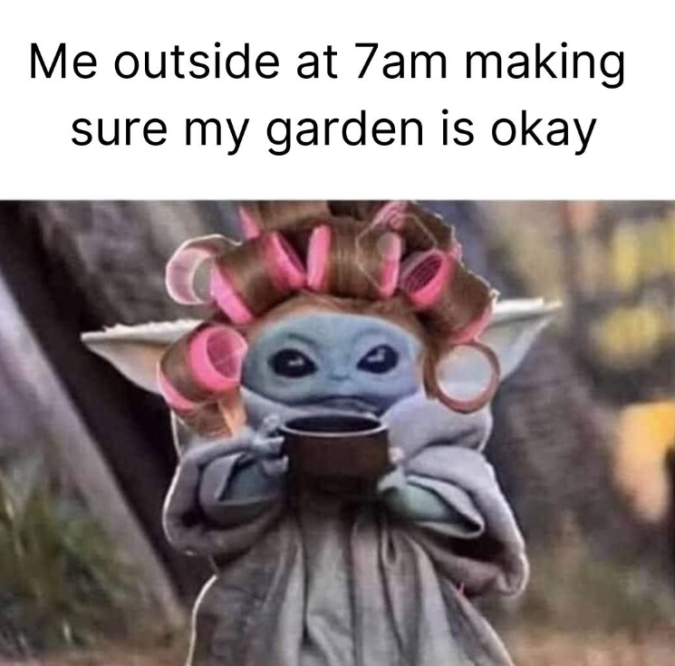 Me outside at 7am making sure my garden is okay