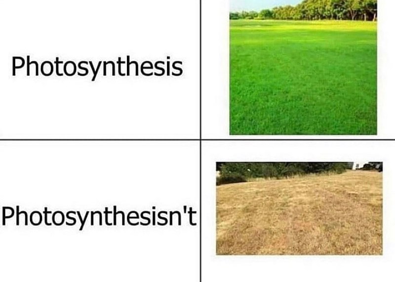 Photosynthesis Photosynthesisn't