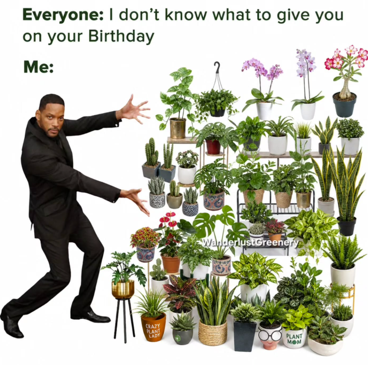 Everyone: I don't know what to give you on your Birthday Me: CRAZY PLANT Wanderlust Greenery LADY PLANT MOM