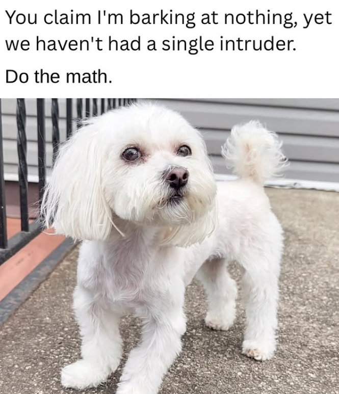 You claim I'm barking at nothing, yet we haven't had a single intruder. Do the math.