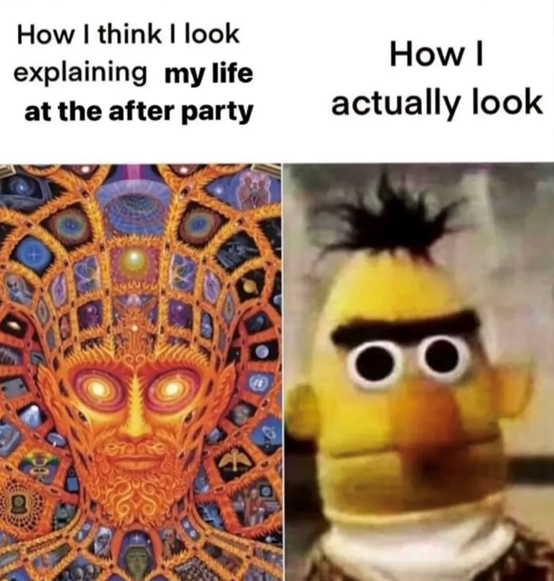 How I think I look explaining my life at the after party How I actually look g